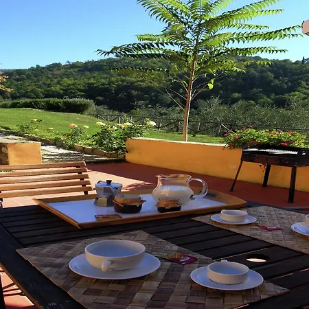 Modern In Castelfranco Di Sopra With Swimming Pool Apartment